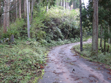 20191031hike (39)